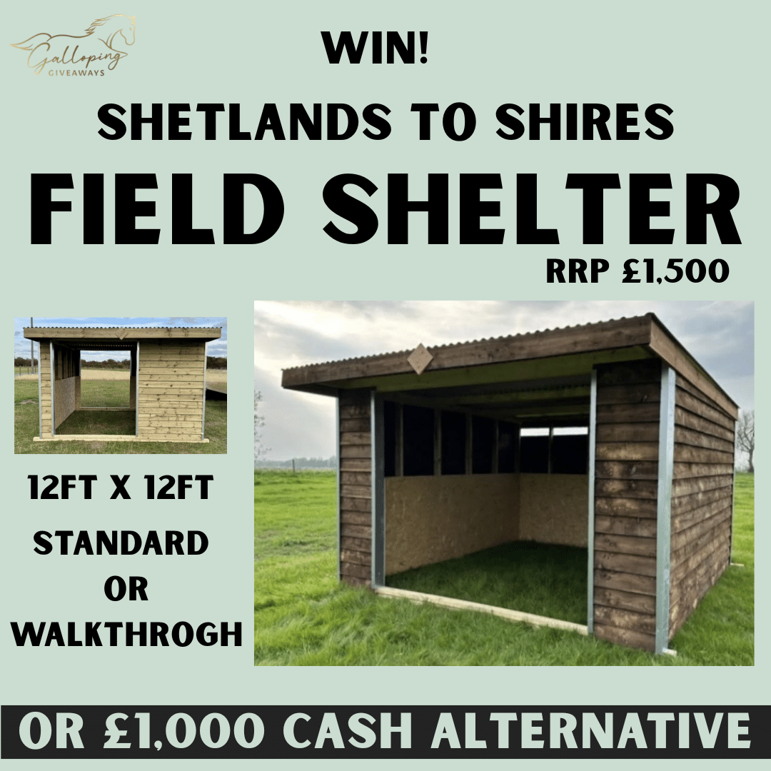 Field Shelter of Choice or £1,000 Cash