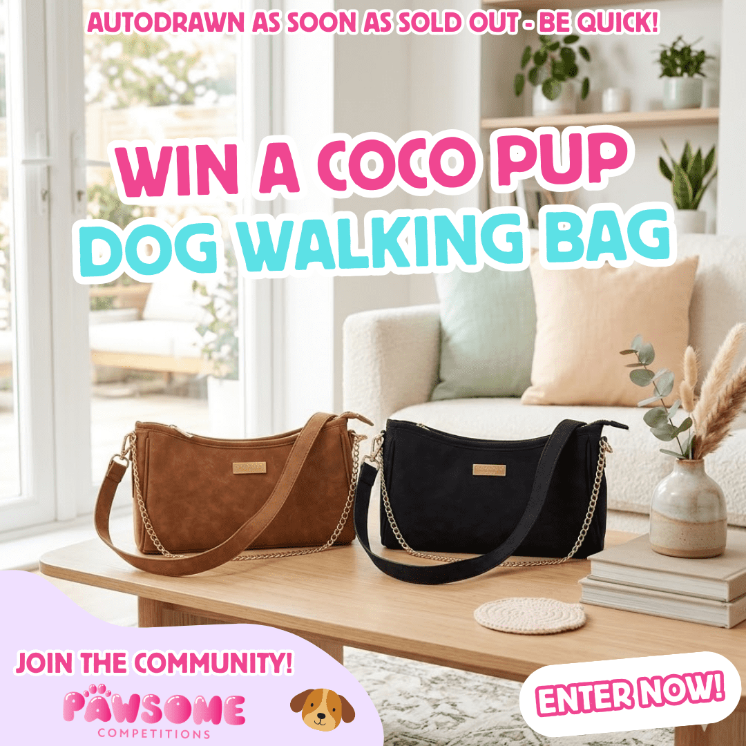 AUTODRAW – WIN A COCOPUP DOG WALKING BAG🐶