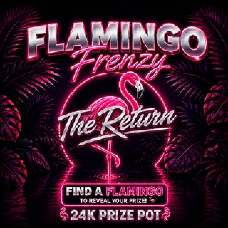 Flamingo Frenzy ~ The Return 🦩